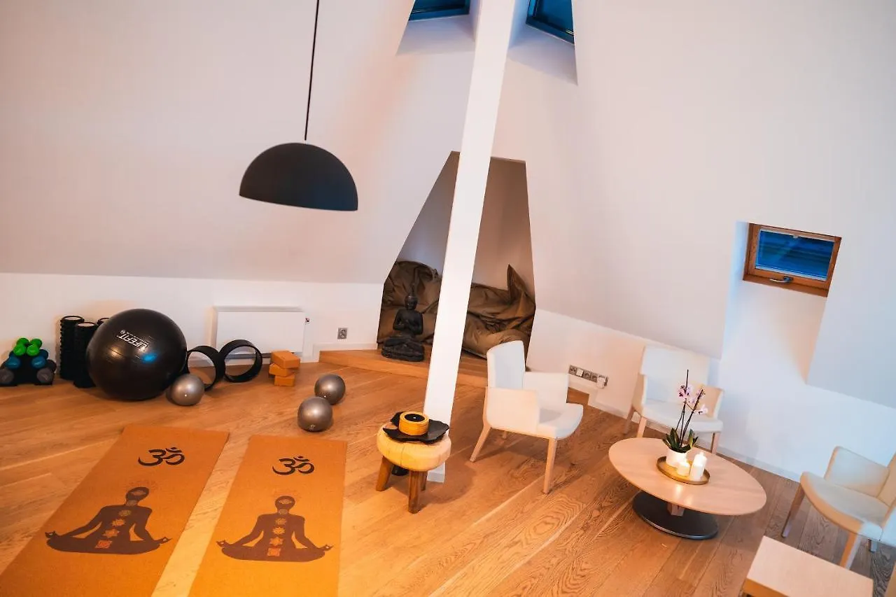 Lux Penthouse Apartments Near Wenceslas Square Prague