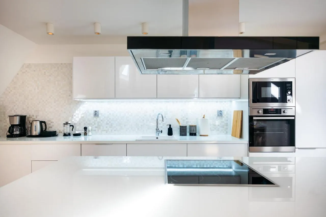 Lux Penthouse Apartments Near Wenceslas Square Praga Repubblica Ceca