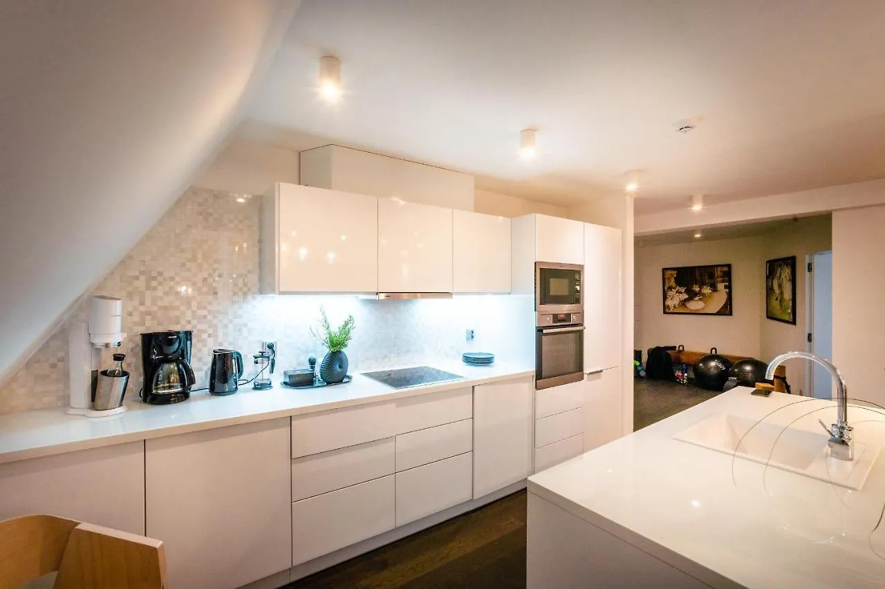 Lux Penthouse Apartments Near Wenceslas Square Praga Repubblica Ceca