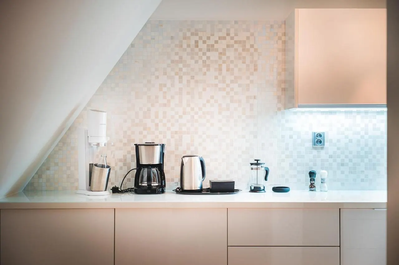 Lux Penthouse Apartments Near Wenceslas Square Praga